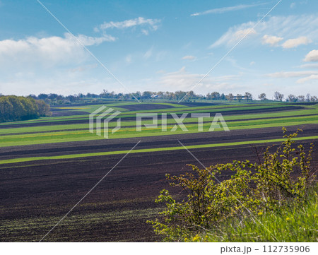 Spring rural landscape with fields, farmlands, village outskirts, flowering trees, hilly meadows. Chernivtsi region, Ukraine. 112735906