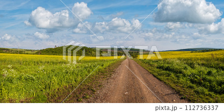 Spring countryside view with dirty road, rapeseed yellow blooming fields, village, hills. Ukraine, Lviv Region. 112736337