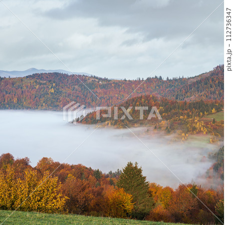 Morning foggy clouds in autumn mountain countryside.  Ukraine, Carpathian Mountains, Transcarpathia. 112736347