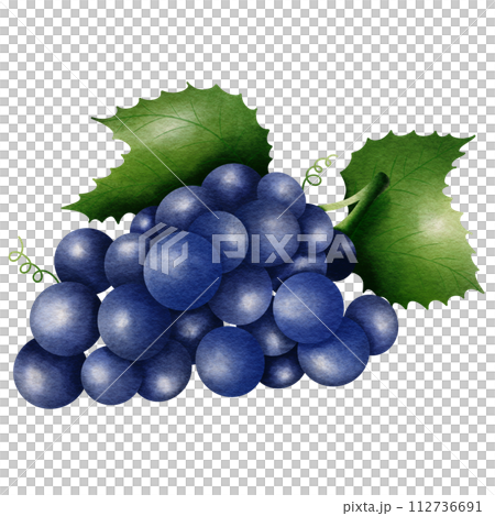 Fruity juicy  112736691