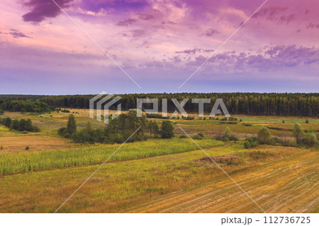 Autumn rural landscape with evening sky at sunset. Arable fields and pine forest on the horizon 112736725
