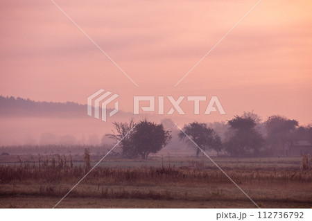 Foggy morning in the village. The rural landscape before sunrise 112736792