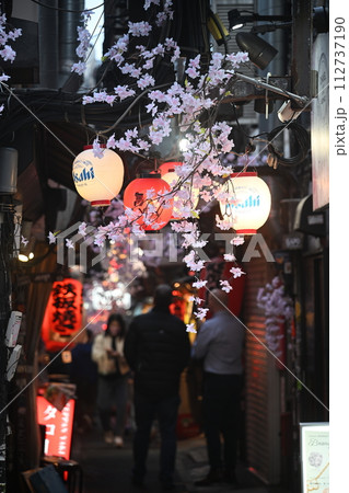 新宿・思い出横丁 新宿・思い出横丁 112737190