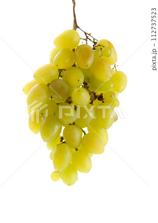 Bunch of organic green grapes isolated on white background. 112737523