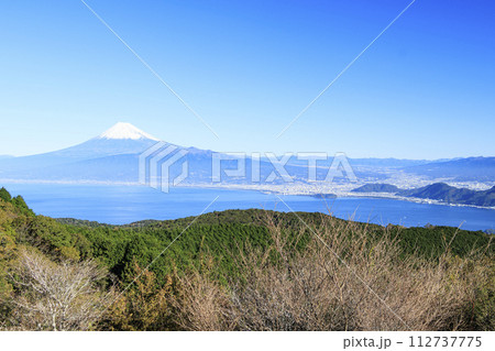 達磨山から望む、西伊豆駿河湾と富士山　 112737775