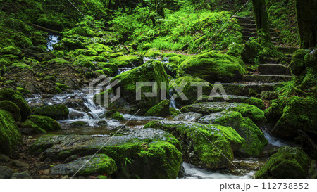新緑が美しい御岳山のロックガーデン【東京都・青梅市】 新緑が美しい御岳山のロックガーデン【東京都・青梅市】 112738352
