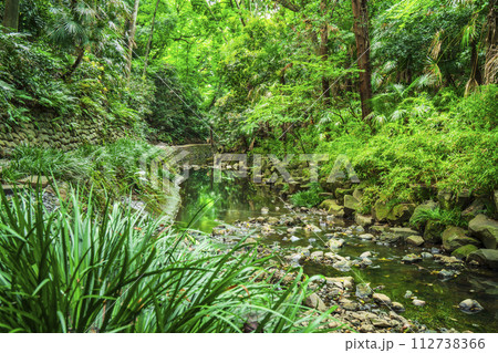 等々力渓谷公園の美しい新緑【東京都・世田谷区】 等々力渓谷公園の美しい新緑【東京都・世田谷区】 112738366