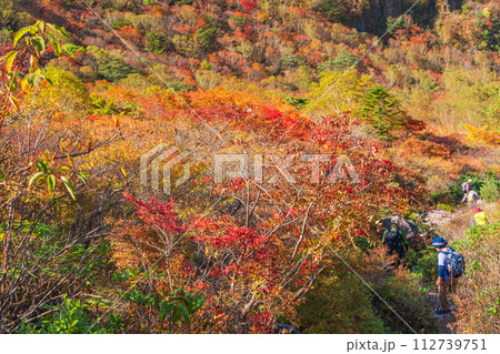 （栃木県）茶臼岳（那須岳）　紅葉最盛期の牛ケ首から見下ろす、姥ヶ平 の紅葉 112739751