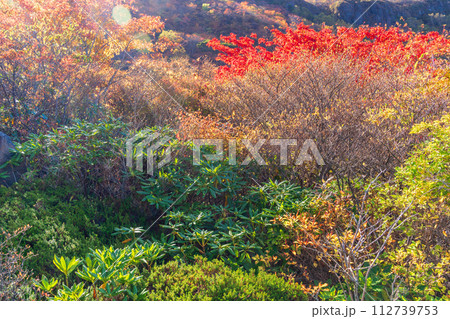 (栃木県)茶臼岳(那須岳) 紅葉最盛期の牛ケ首から見下ろす、姥ヶ平 の紅葉 (栃木県)茶臼岳(那須岳) 紅葉最盛期の牛ケ首から見下ろす、姥ヶ平 の紅葉 112739753