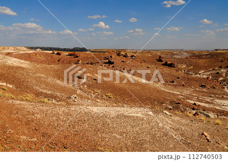 Alien Landscape Petrified Forest National Park Arizona Alien Landscape Petrified Forest National Park Arizona 112740503