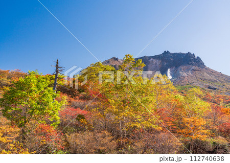 （栃木県）茶臼岳（那須岳）　紅葉最盛期の姥ヶ平から山頂を見上げる 112740638