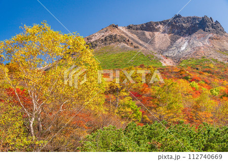 （栃木県）茶臼岳（那須岳）　紅葉最盛期の姥ヶ平から山頂を見上げる 112740669