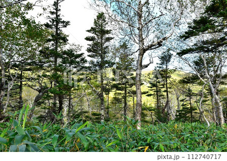 世界自然遺産　知床の風景 112740717