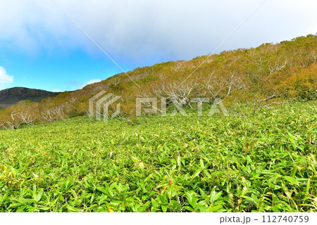 世界自然遺産　知床の風景 112740759