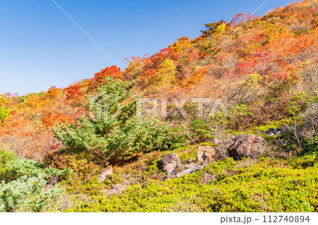 (栃木県)茶臼岳(那須岳) 紅葉最盛期の姥ヶ平から周囲の山を見上げる (栃木県)茶臼岳(那須岳) 紅葉最盛期の姥ヶ平から周囲の山を見上げる 112740894