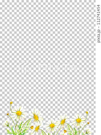 Watercolor illustration Margaret field background material 112741454