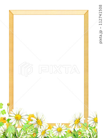 水彩イラスト　マーガレット畑の背景素材 112741508