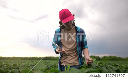 farm worker walks through the field. farming business and irrigation concept. a farmer in red cap and blue shirt walks among the sprouts lifestyle of a plant he grew in his field, holding a tablet farm worker walks through the field. farming business and irrigation concept. a farmer in red cap and blue shirt walks among the sprouts lifestyle of a plant he grew in his field, holding a tablet 112741807