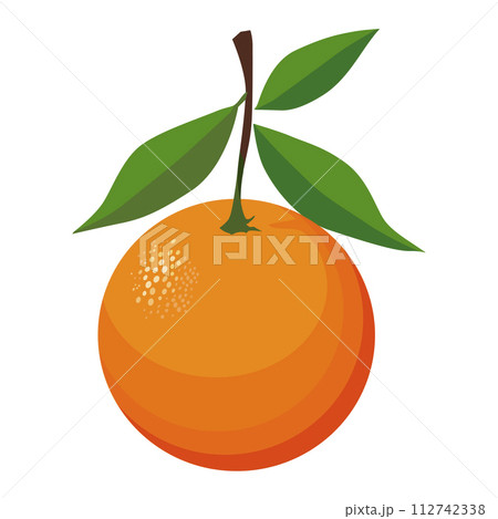Healthy red orange with leaves. Isolated vector fruit in flat style. Summer clipart for design 112742338