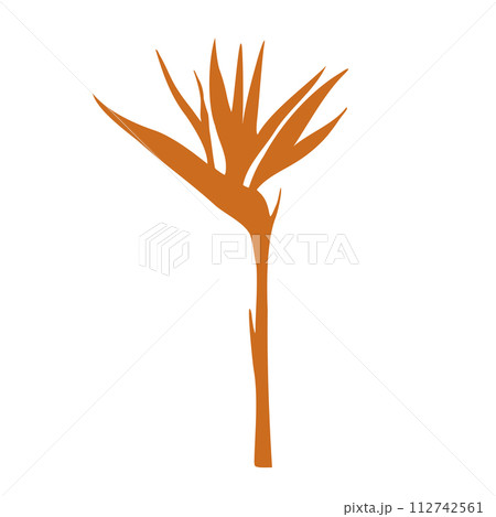 Tropical vector silhouette of Bird of Paradise Flower illustration on isolated background. Beautiful botanical Strelitzia reginae hand painted linear exotic frangipani. For designers, spa decoration 112742561