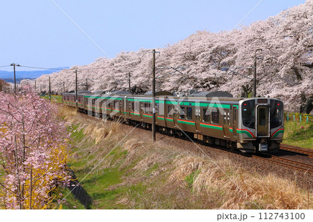 白石川堤一目千本桜を行く東北本線E721系（仙台地区） 112743100