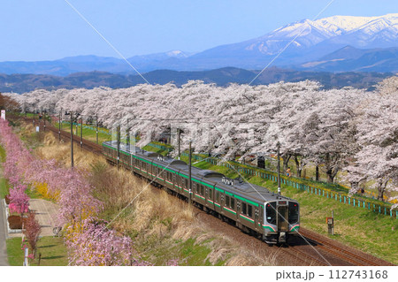 白石川堤一目千本桜を行く東北本線E721系（仙台地区） 112743168