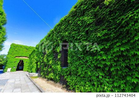 【岡山県】晴天の倉敷美観地区（倉敷アイビースクエア） 112743404