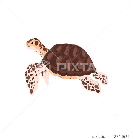 Charming brown sea turtle. Vector illustration 112743626