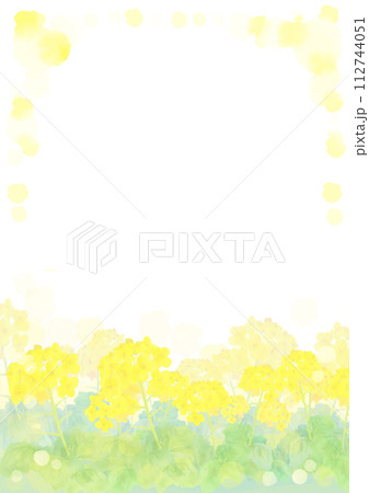 水彩で描いた菜の花の背景イラスト 112744051