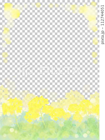 水彩で描いた菜の花の背景イラスト 112744051