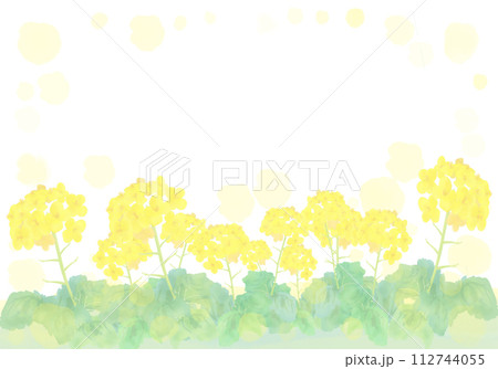 水彩で描いた菜の花の背景イラスト 112744055