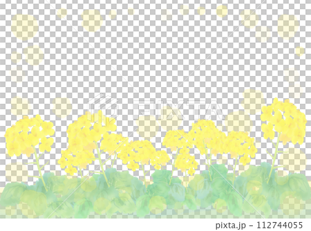 水彩で描いた菜の花の背景イラスト 112744055