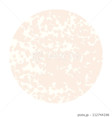 Simple empty circle with texture isolated on white background. Template for design. Vector illustration. Simple empty circle with texture isolated on white background. Template for design. Vector illustration. 112744196