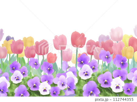 チューリップとパンジーの花畑 112744355