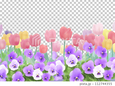 チューリップとパンジーの花畑 112744355