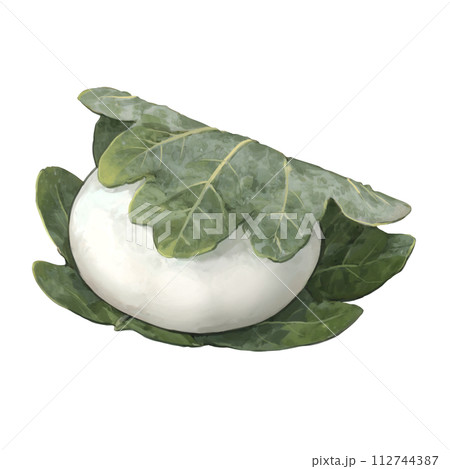 柏餅のイラスト 112744387