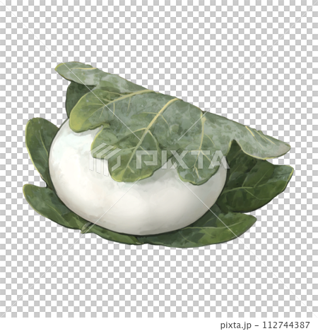 柏餅のイラスト 112744387