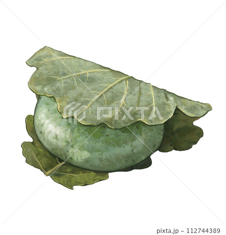 よもぎ柏餅のイラスト よもぎ柏餅のイラスト 112744389