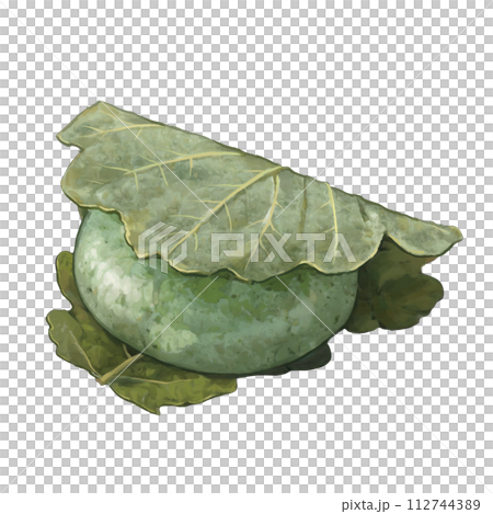 よもぎ柏餅のイラスト よもぎ柏餅のイラスト 112744389