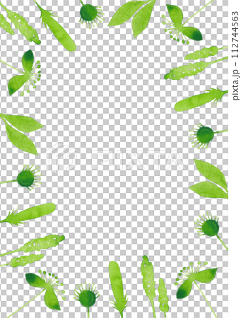 Watercolor silhouettes of green flowers and plants. Rectangular frame for your design 112744563