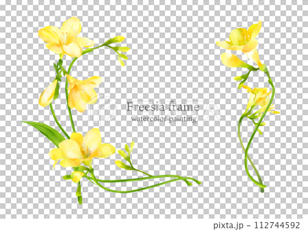 Hand-painted watercolor freesia frame 112744592