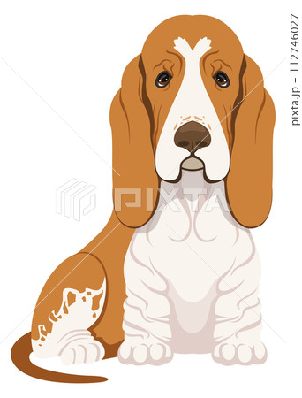 Basset hound cartoon icon. Cute dog character Basset hound cartoon icon. Cute dog character 112746027