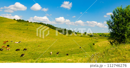 Hilly landscape, meadows and a bright sky. Wide photo. 112746276