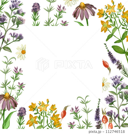 Watercolor illustration. Square frame of meadow herbs and flowers, oregano, rosehip, hypericaceae, daisies hand-drawn in watercolor. Suitable for printing on fabric and paper, design, scrapbooking. 112746518