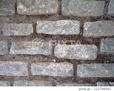 Cobble stone path 112746881
