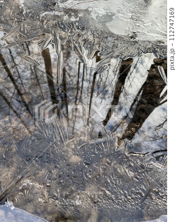 thin transparent ice on a puddle in the park on a spring day, foliage through the ice, dry grass through ice 112747169