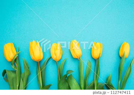 Hello Spring. Six yellow tulips on a blue background. Flat lay. Copy space. Easter and March 8th 112747411