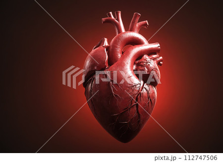 Model of organ of healthy human heart on dark red background, close-up. Concept of cardiology, coronary disease and heart attack. World Heart Day. Ai generation 112747506