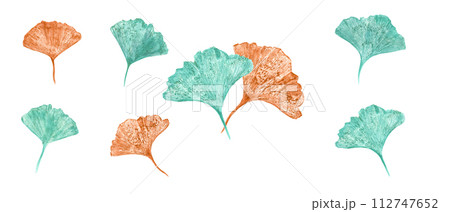 Imprints of autumn leaves in turquoise, golden colors. Gingko leaf. Set isolated on white background. Ginkgo, palm, dry abstract leaves. Watercolor illustration of colorful leaf silhouettes Imprints of autumn leaves in turquoise, golden colors. Gingko leaf. Set isolated on white background. Ginkgo, palm, dry abstract leaves. Watercolor illustration of colorful leaf silhouettes 112747652