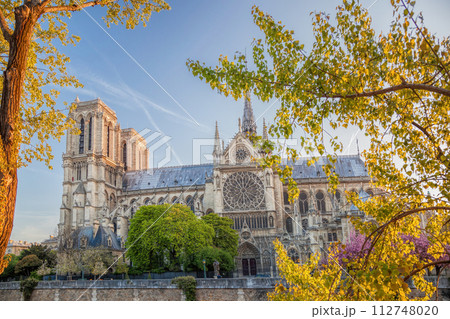 Paris, Notre Dame cathedral with spring trees in France 112748020